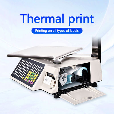 Escala de tabela de códigos de barras de impressão avançada SHW-TMB 30kg com potência AC 100-240V/DC21V